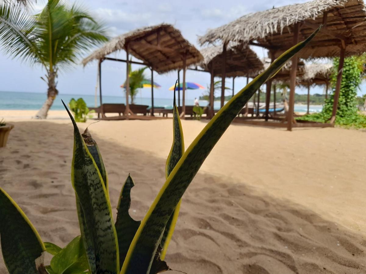 Golden Beach Chalets Arugam Bay Εξωτερικό φωτογραφία